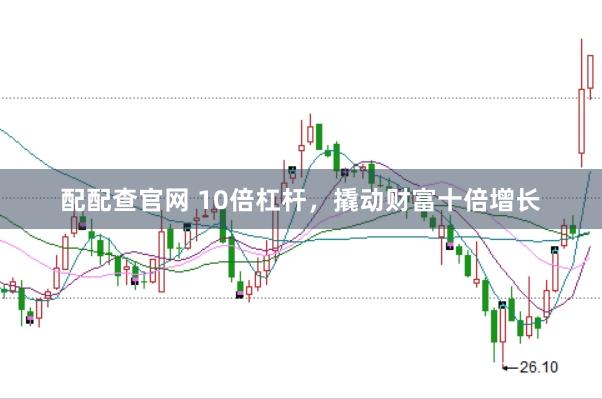 配配查官网 10倍杠杆，撬动财富十倍增长