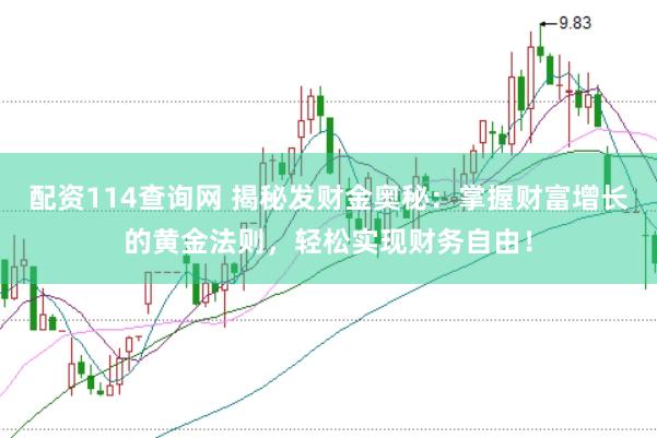配资114查询网 揭秘发财金奥秘：掌握财富增长的黄金法则，轻松实现财务自由！