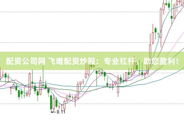 配资公司网 飞唯配资炒股：专业杠杆，助您盈利！