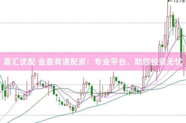 嘉汇优配 金盈有道配资：专业平台，助您投资无忧