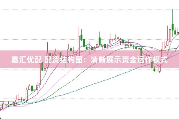嘉汇优配 配资结构图：清晰展示资金运作模式