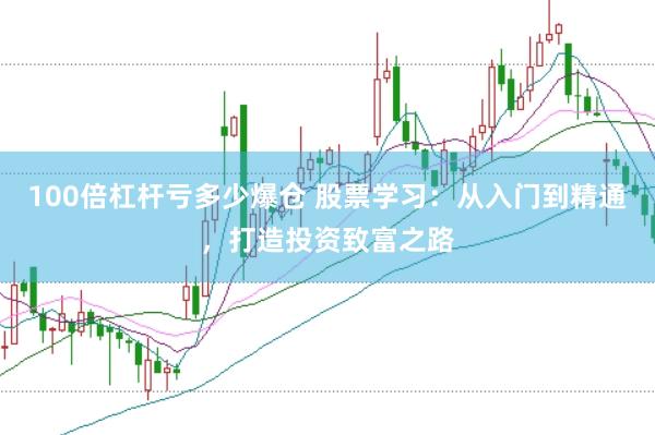 100倍杠杆亏多少爆仓 股票学习：从入门到精通，打造投资致富之路