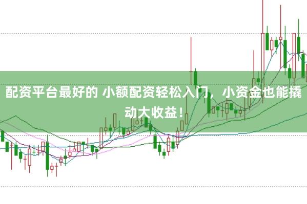 配资平台最好的 小额配资轻松入门，小资金也能撬动大收益！
