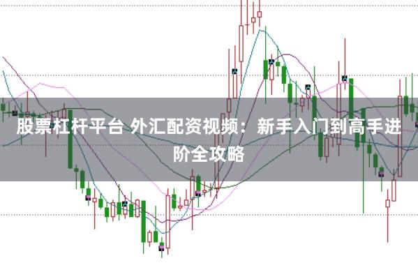 股票杠杆平台 外汇配资视频：新手入门到高手进阶全攻略