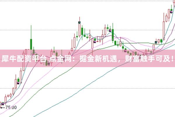 犀牛配资平台 点金网：掘金新机遇，财富触手可及！
