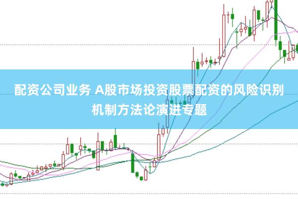 配资公司业务 A股市场投资股票配资的风险识别机制方法论演进专题