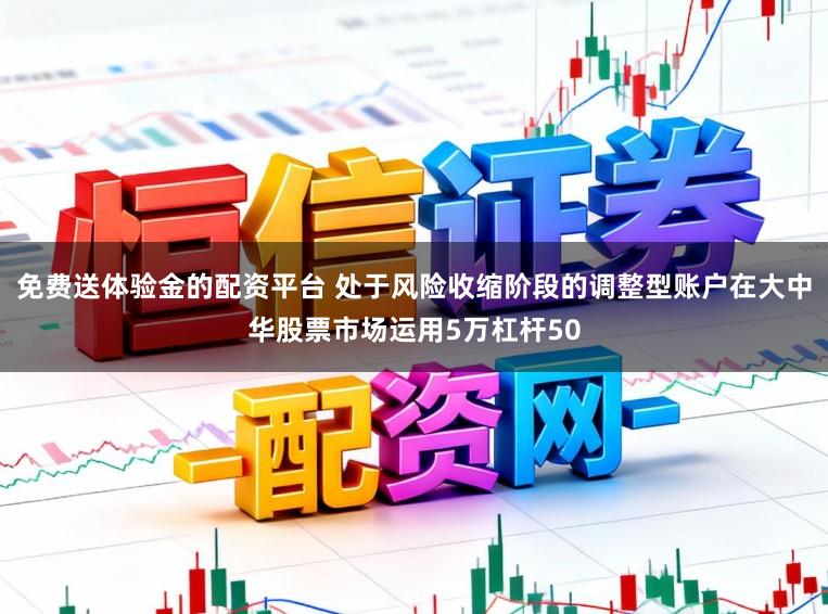 免费送体验金的配资平台 处于风险收缩阶段的调整型账户在大中华股票市场运用5万杠杆50