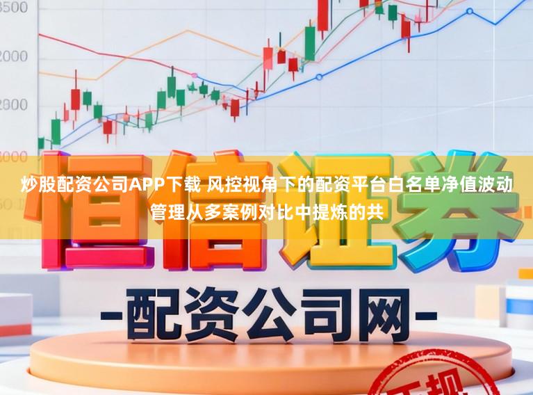 炒股配资公司APP下载 风控视角下的配资平台白名单净值波动管理从多案例对比中提炼的共